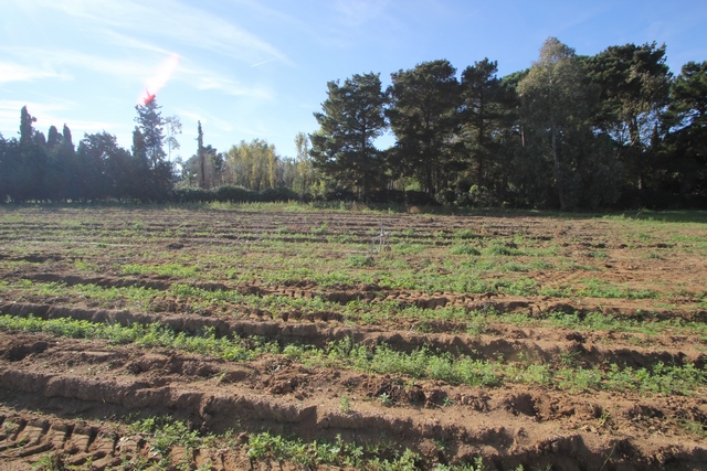 Sustainable Nut Farm & Agriturismo in Tuscany – Near the Sea