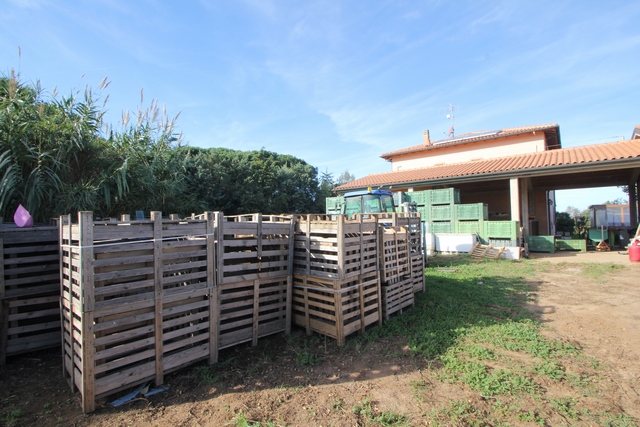 Toskana  ökologische Nuß-Produktion