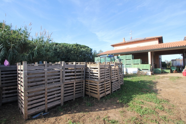 Sustainable Nut Farm & Agriturismo in Tuscany – Near the Sea