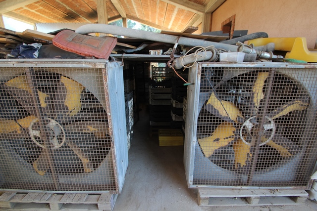 Sustainable Nut Farm & Agriturismo in Tuscany – Near the Sea