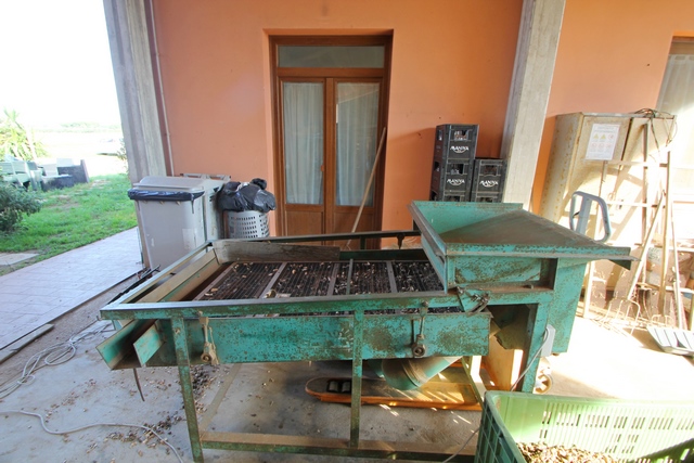 Sustainable Nut Farm & Agriturismo in Tuscany – Near the Sea