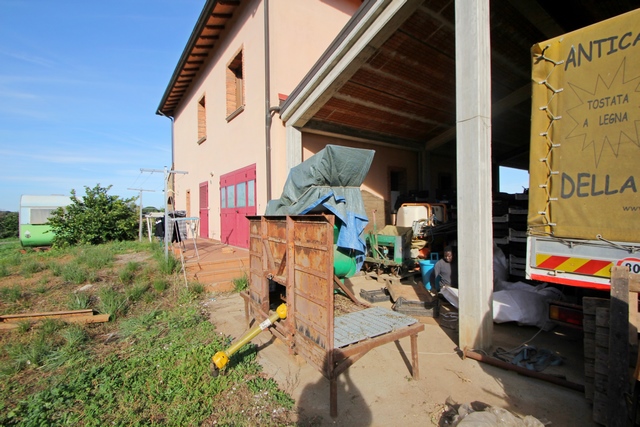 Produzione ecologica di noci in Toscana