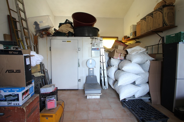 Sustainable Nut Farm & Agriturismo in Tuscany – Near the Sea