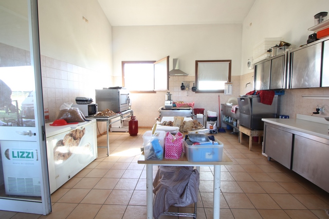 Sustainable Nut Farm & Agriturismo in Tuscany – Near the Sea