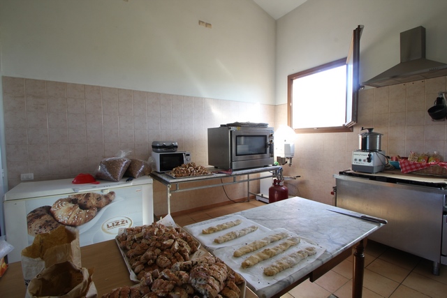 Sustainable Nut Farm & Agriturismo in Tuscany – Near the Sea