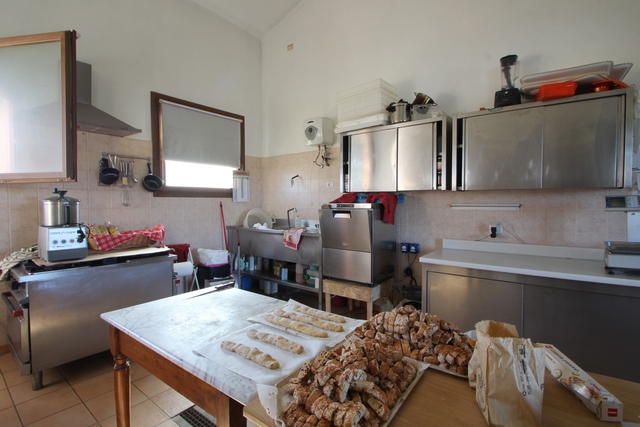 Sustainable Nut Farm & Agriturismo in Tuscany – Near the Sea