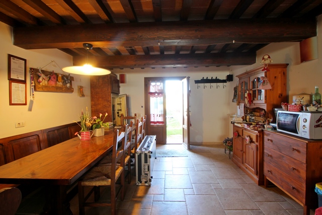 Sustainable Nut Farm & Agriturismo in Tuscany – Near the Sea