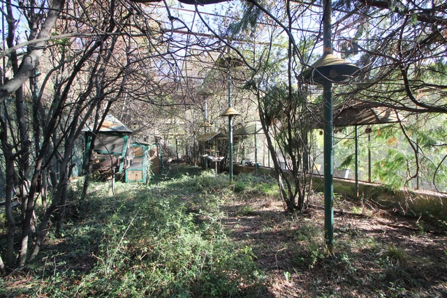 Renovierungsobjekt – Haus in den Hügeln bei Sarzana, Ligurien