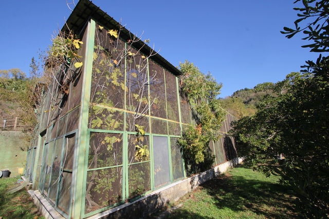 Renovierungsobjekt – Haus in den Hügeln bei Sarzana, Ligurien