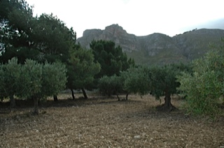 Baglio near Trapani