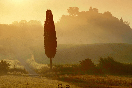 Escursioni a Firenze: dove andare per il weekend?