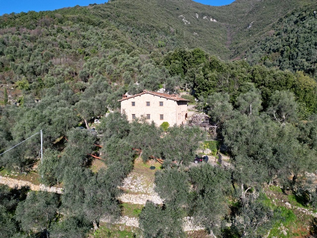 Traditional Tuscan Villa with Sea Views & Olive Grove