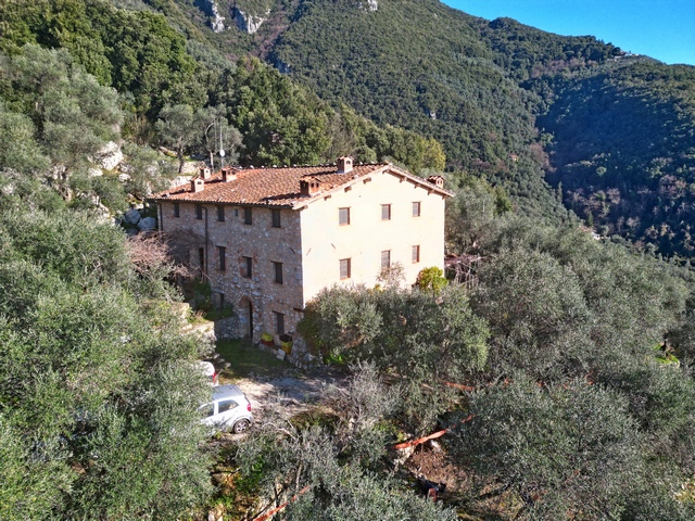 Landvilla mit Olivenhain und Meerblick bei Camaiore