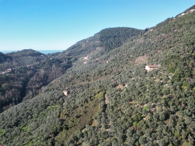 Casale con grande terreno  e vista mare