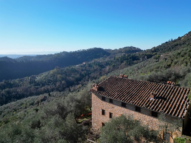 Landvilla mit Olivenhain und Meerblick bei Camaiore