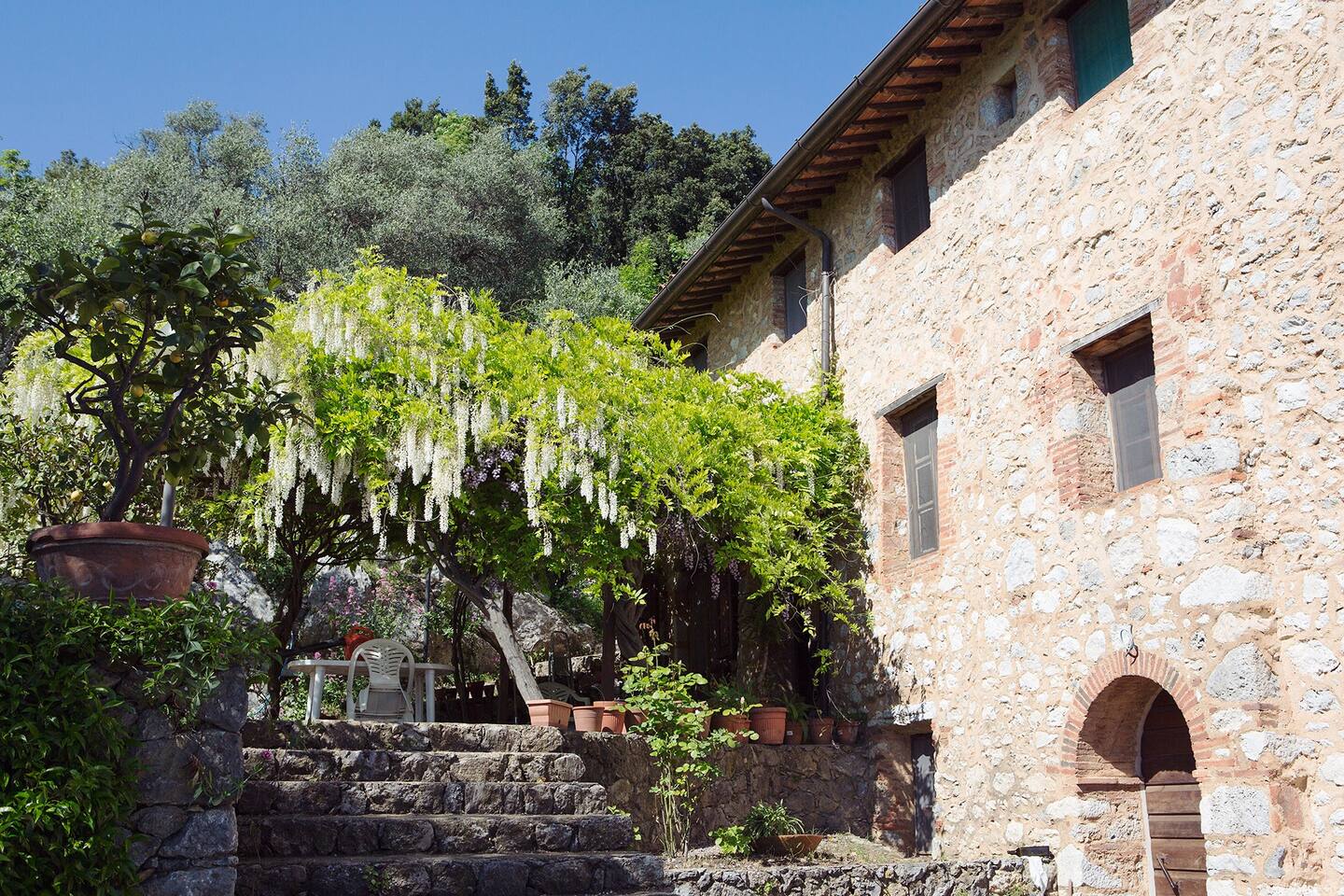 Landvilla mit Olivenhain und Meerblick bei Camaiore