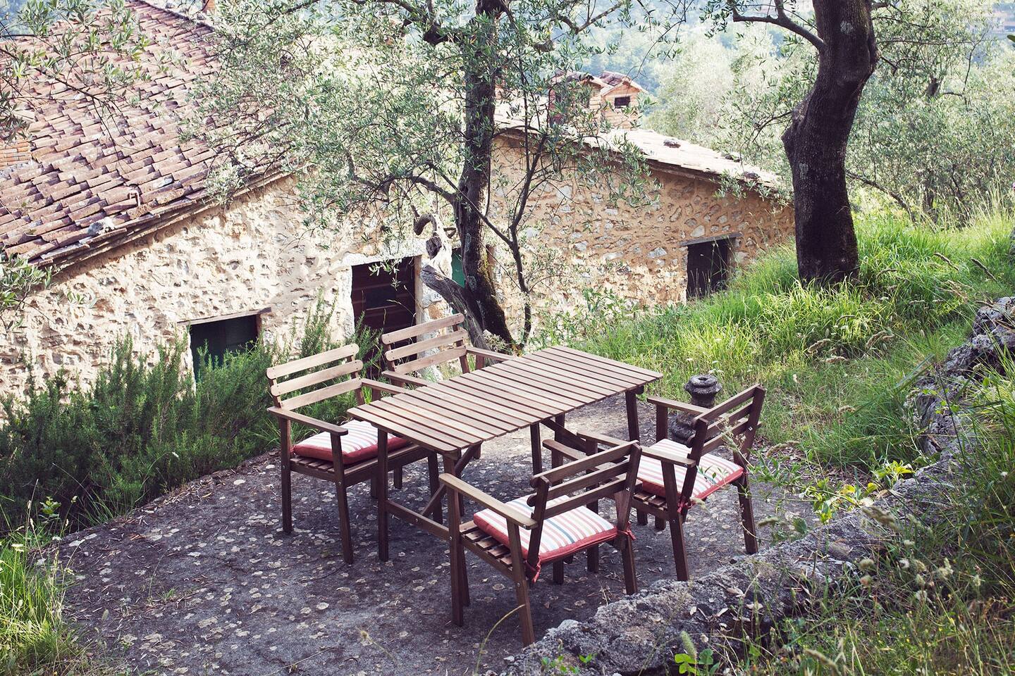 Landvilla mit Olivenhain und Meerblick bei Camaiore