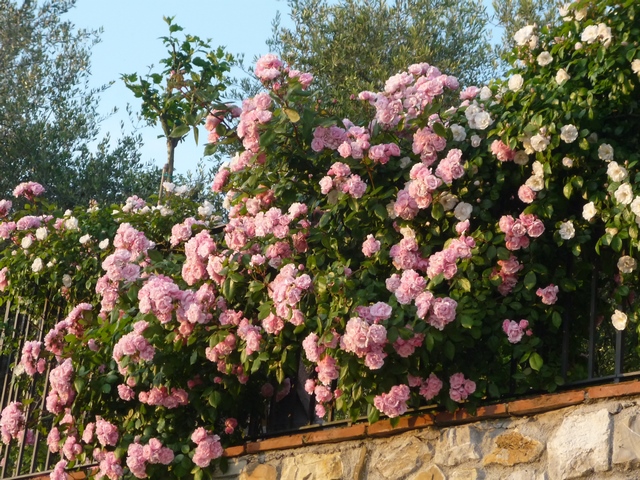 Casale ristrutturato con panorama toscano