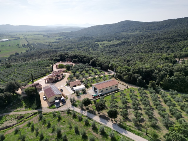 Olivenfarm mit 67ha & 7500 Bäumen – Toskana