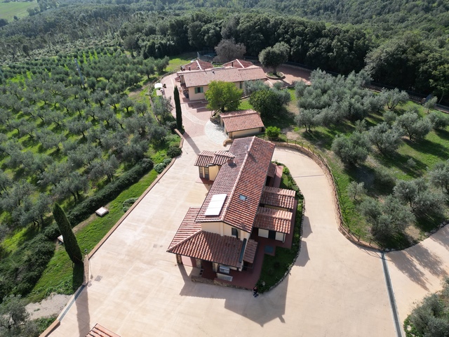 Azienda agricola olivicole con oliveti in Toscana -