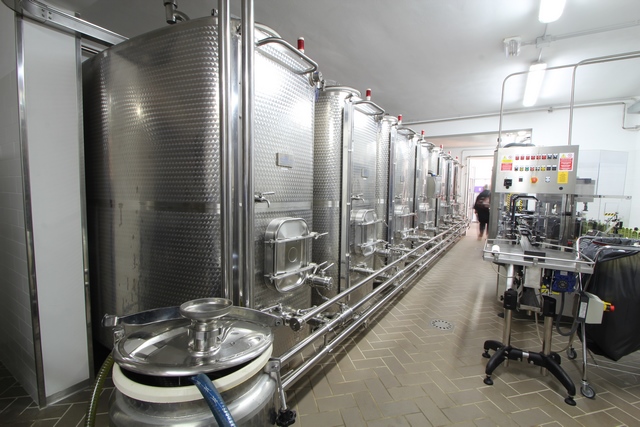 Olivenfarm mit 67ha & 7500 Bäumen – Toskana
