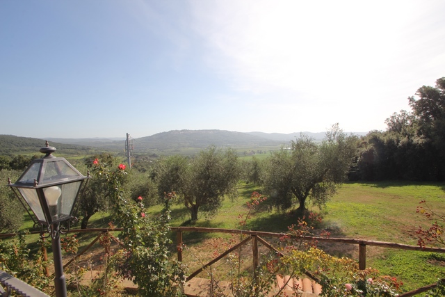 Luxury Olive-Farm in Tuscany