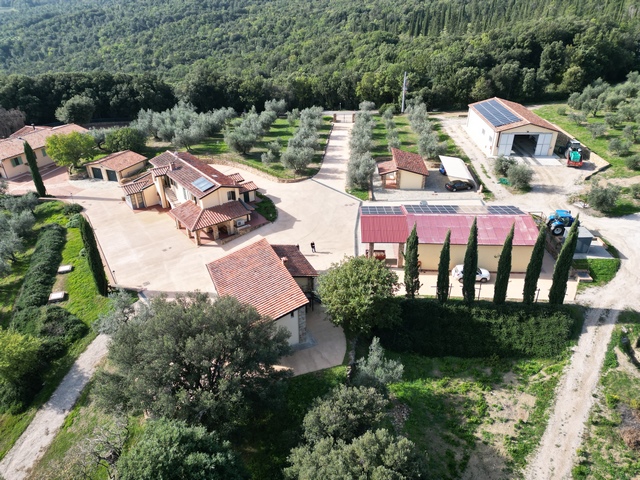 Olivenfarm mit 67ha & 7500 Bäumen – Toskana