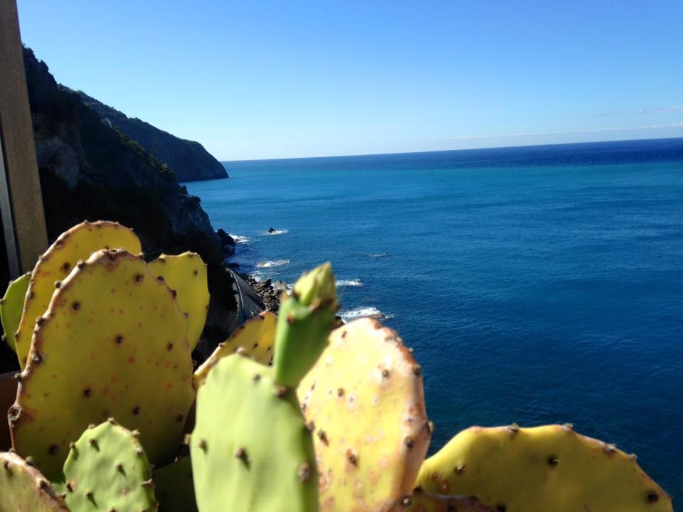 Flat in Manarola - Cinque Terre