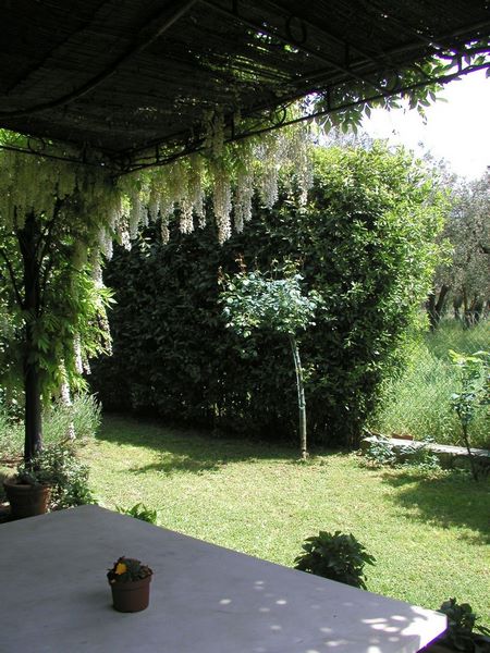 Rustic house in a courtyard in Versilia