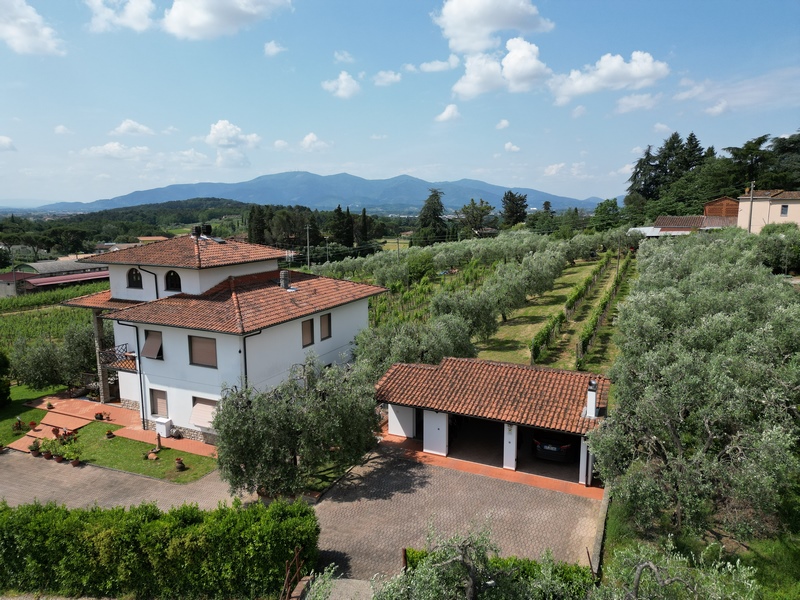 Große Villa mit Weinberg und Weinkeller in Gragnano