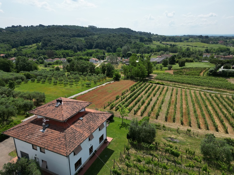 Spacious Villa with Annexe in Capannori, Near Lucca