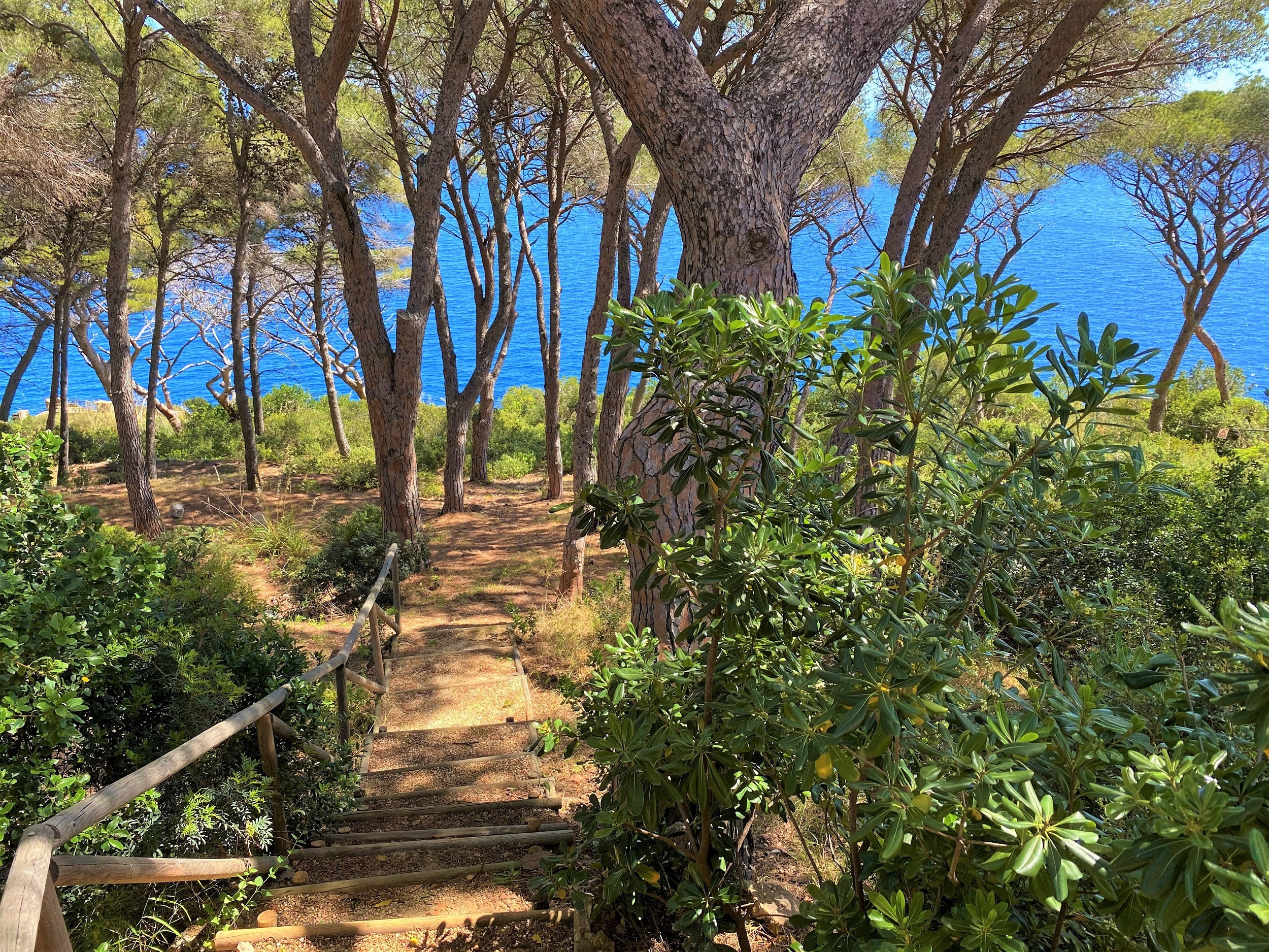 Proprietà Unica sul Mare all'Isola d'Elba con Terreno Privato