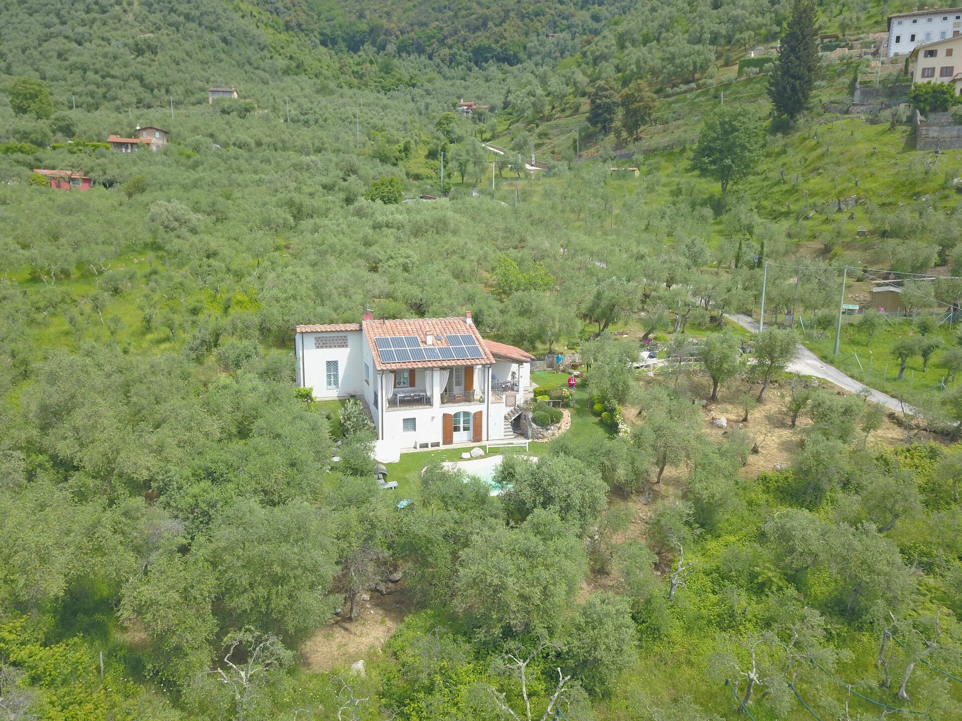 Tuscan Villa with Pool & Olive Grove – Montebello di Camaiore