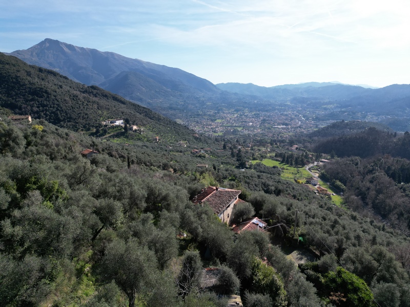 Isolated stone house with guest house above Camaiore