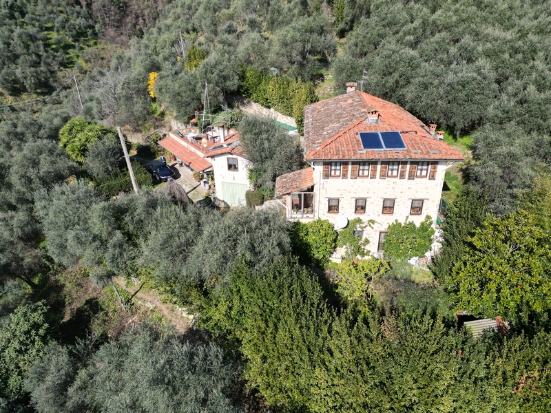 Isolated stone house with guest house above Camaiore