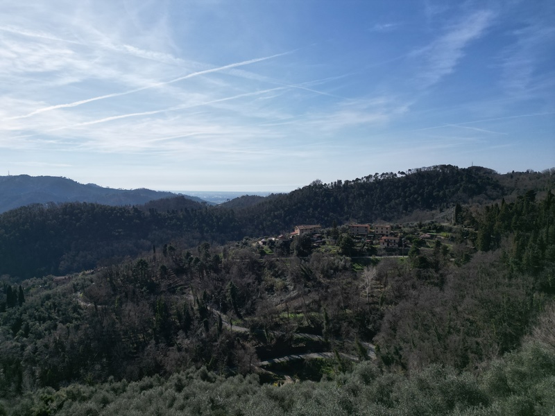 Isolated stone house with guest house above Camaiore