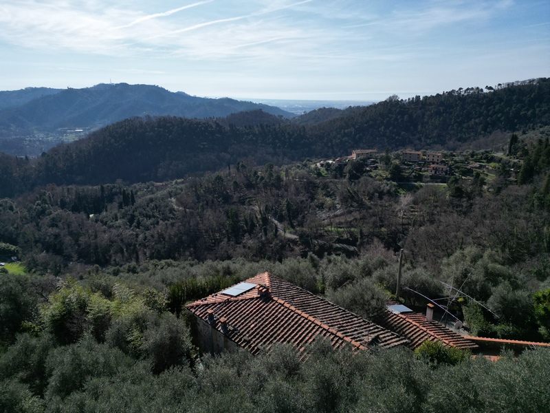 Casa in Pietra con Dependance e Uliveto sulle Colline di Montebello