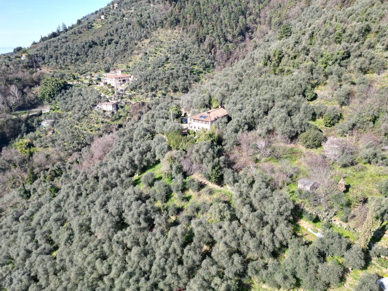 Isolated stone house with guest house above Camaiore