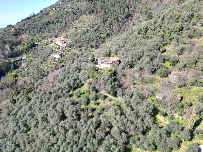 Isoliertes Steinhaus mit Gästehaus oberhalb Camaiore