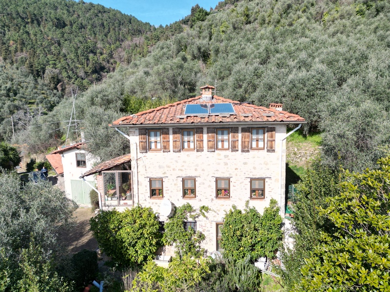 Isolated stone house with guest house above Camaiore