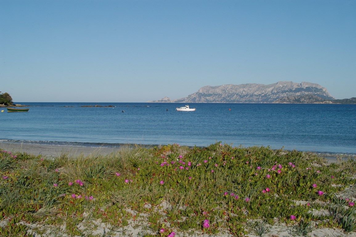 Cagliari-sud della Sardegna