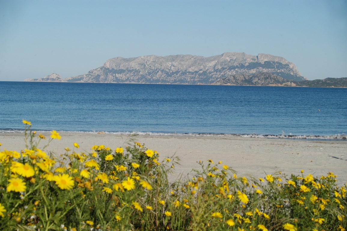 Cagliari-jižní Sardínie