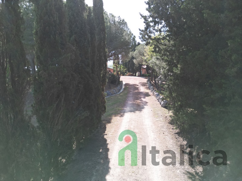Stunning Villa with Farm & 38ha Land in Tuscany, Near Pisa