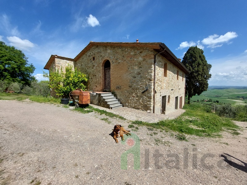 Grande Casale con Vista Panoramica e 6ha di Uliveto – Toscana