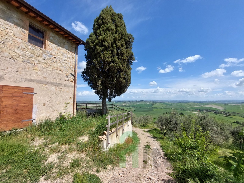 Grande Casale con Vista Panoramica e 6ha di Uliveto – Toscana