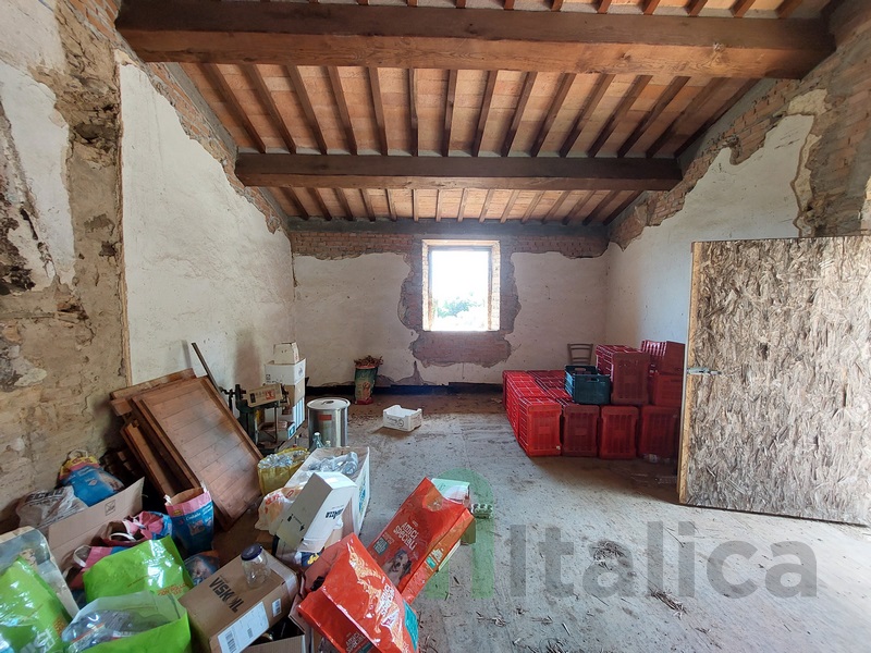 Grande Casale con Vista Panoramica e 6ha di Uliveto – Toscana