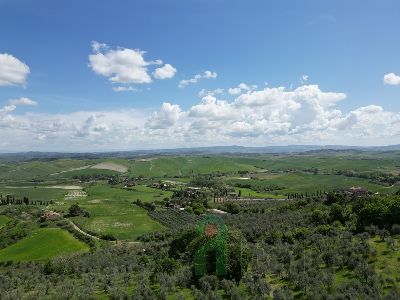 Grande Casale con Vista Panoramica e 6ha di Uliveto – Toscana