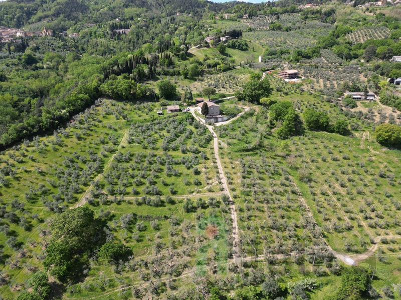 Grande Casale con Vista Panoramica e 6ha di Uliveto – Toscana