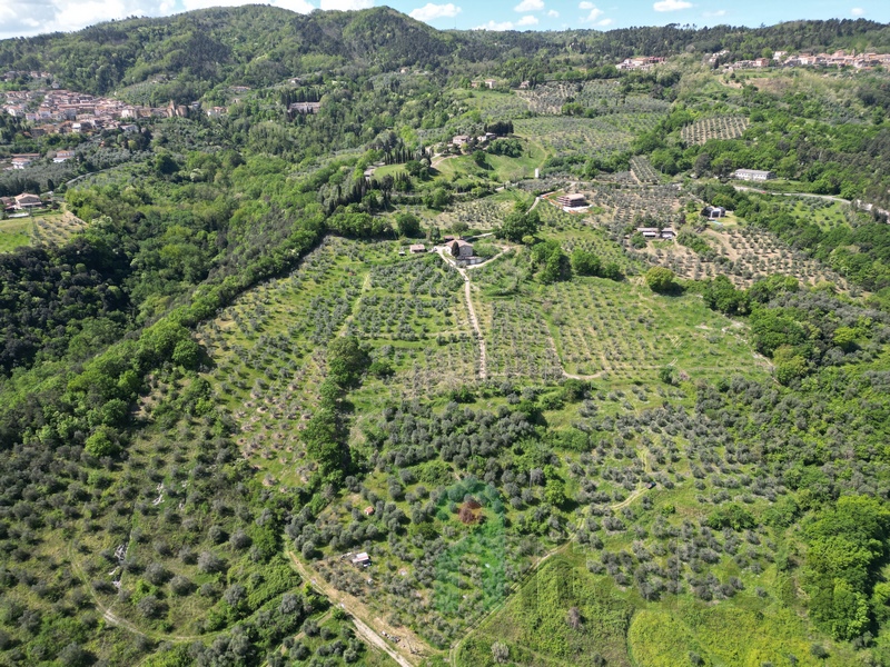 Grande Casale con Vista Panoramica e 6ha di Uliveto – Toscana