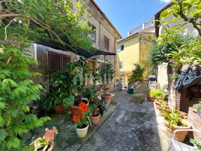 Casa di Borgo con Vista Mare e Uliveto – In Vendita